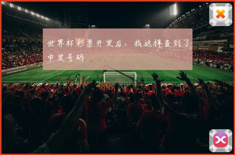 世界杯彩票开奖后,我这样查到了中奖号码
