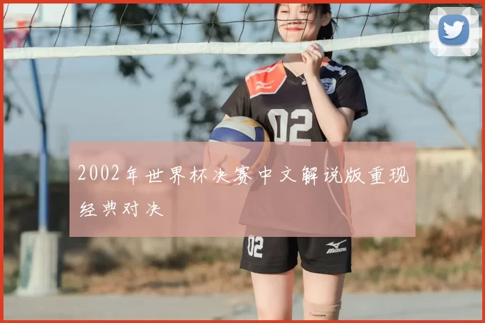 2002年世界杯决赛中文解说版重现经典对决