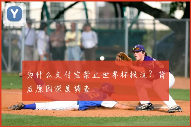 为什么支付宝禁止世界杯投注？背后原因深度调查