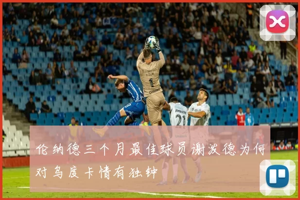 伦纳德三个月最佳球员谢泼德为何对乌度卡情有独钟