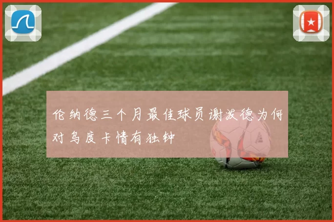 伦纳德三个月最佳球员谢泼德为何对乌度卡情有独钟