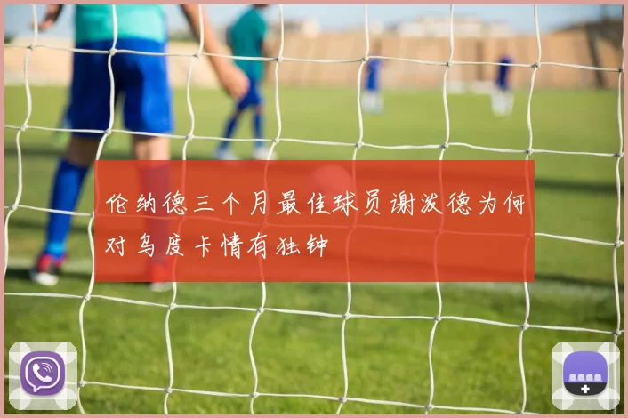 伦纳德三个月最佳球员谢泼德为何对乌度卡情有独钟