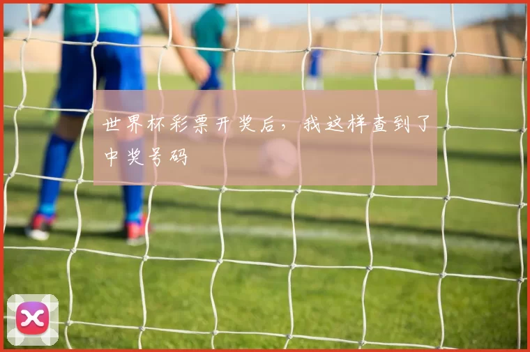 世界杯彩票开奖后，我这样查到了中奖号码