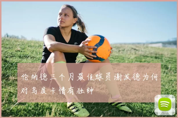 伦纳德三个月最佳球员谢泼德为何对乌度卡情有独钟
