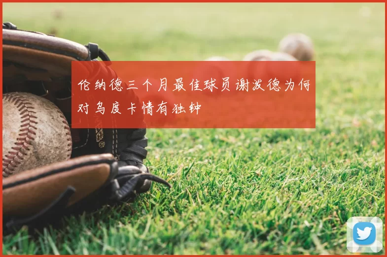 伦纳德三个月最佳球员谢泼德为何对乌度卡情有独钟