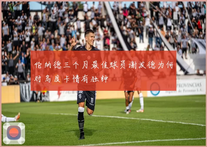 伦纳德三个月最佳球员谢泼德为何对乌度卡情有独钟