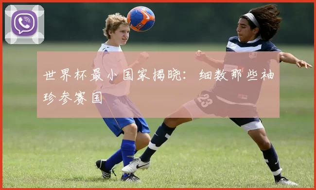 世界杯最小国家揭晓:细数那些袖珍参赛国