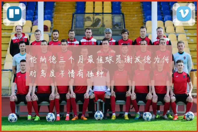 伦纳德三个月最佳球员谢泼德为何对乌度卡情有独钟