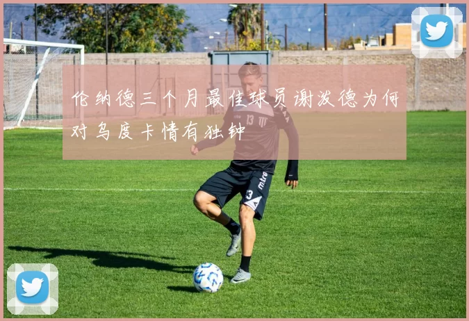伦纳德三个月最佳球员谢泼德为何对乌度卡情有独钟