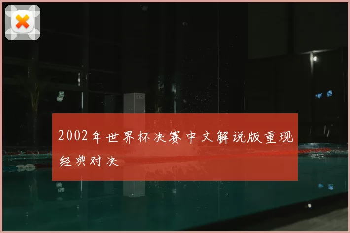 2002年世界杯决赛中文解说版重现经典对决