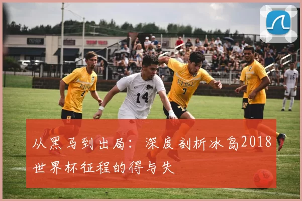 从黑马到出局:深度剖析冰岛2018世界杯征程的得与失