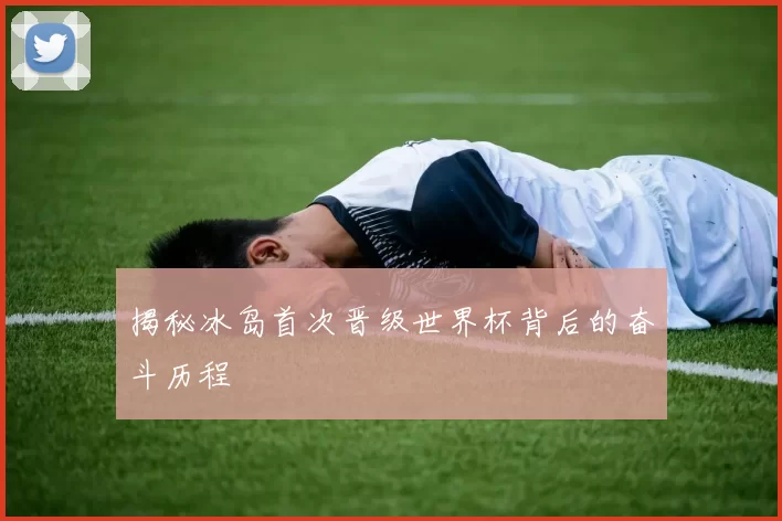揭秘冰岛首次晋级世界杯背后的奋斗历程