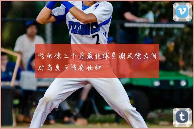 伦纳德三个月最佳球员谢泼德为何对乌度卡情有独钟