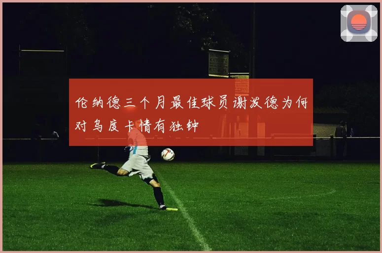 伦纳德三个月最佳球员谢泼德为何对乌度卡情有独钟
