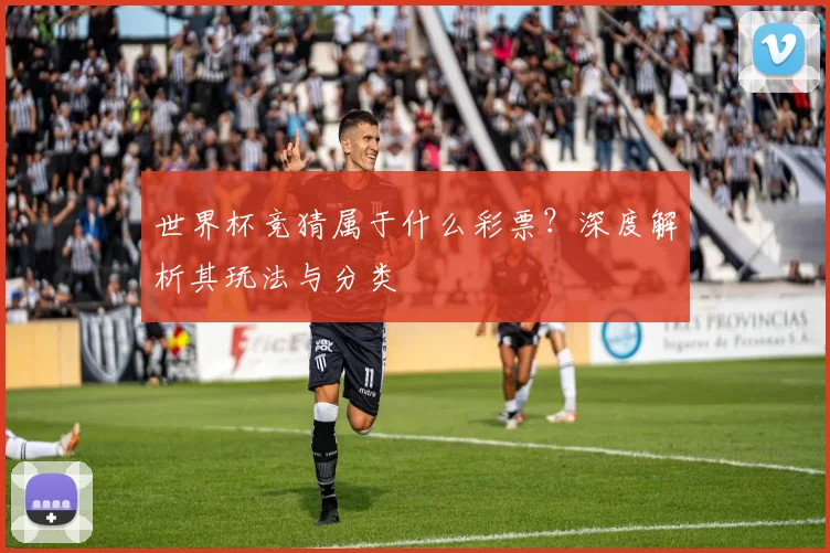 世界杯竞猜属于什么彩票？深度解析其玩法与分类