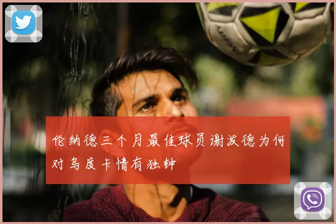 伦纳德三个月最佳球员谢泼德为何对乌度卡情有独钟