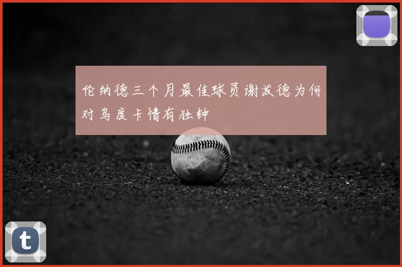伦纳德三个月最佳球员谢泼德为何对乌度卡情有独钟