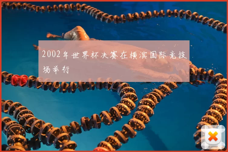 2002年世界杯决赛在横滨国际竞技场举行