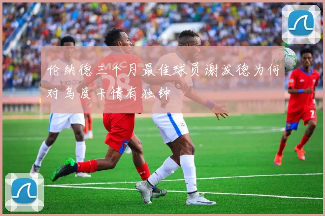 伦纳德三个月最佳球员谢泼德为何对乌度卡情有独钟