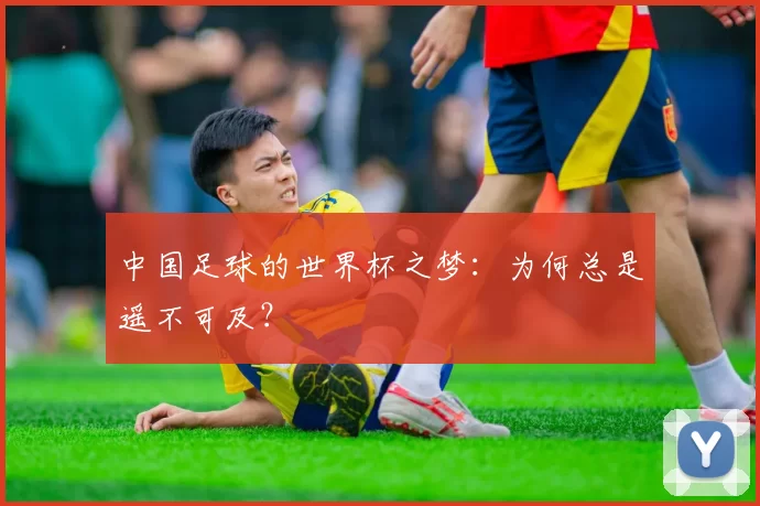 中国足球的世界杯之梦:为何总是遥不可及?