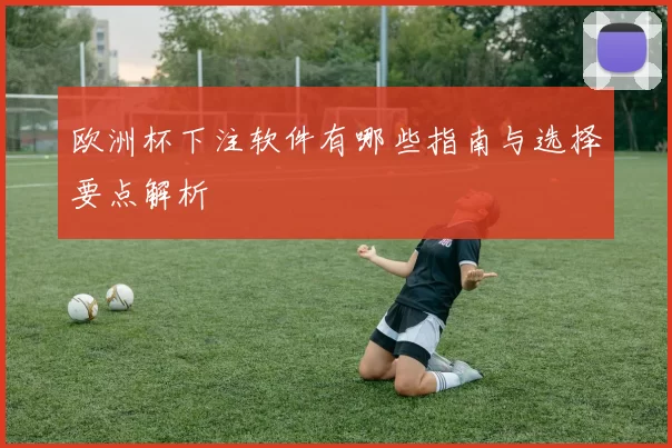 欧洲杯下注软件有哪些指南与选择要点解析