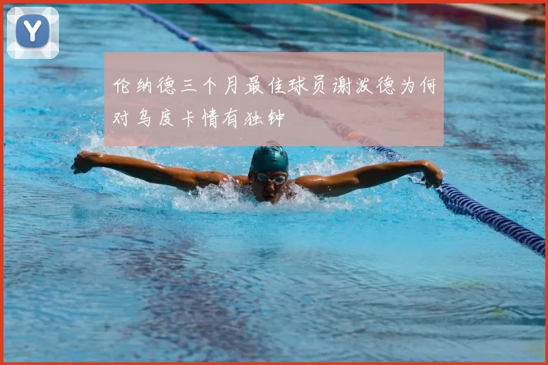 伦纳德三个月最佳球员谢泼德为何对乌度卡情有独钟