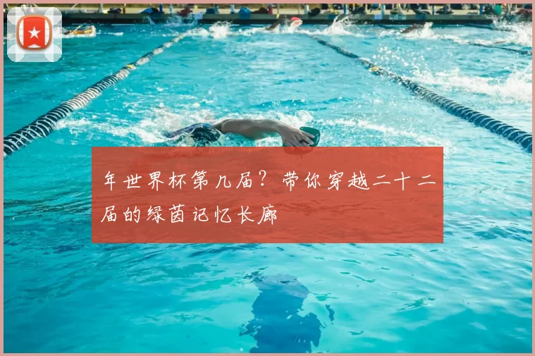 年世界杯第几届？带你穿越二十二届的绿茵记忆长廊