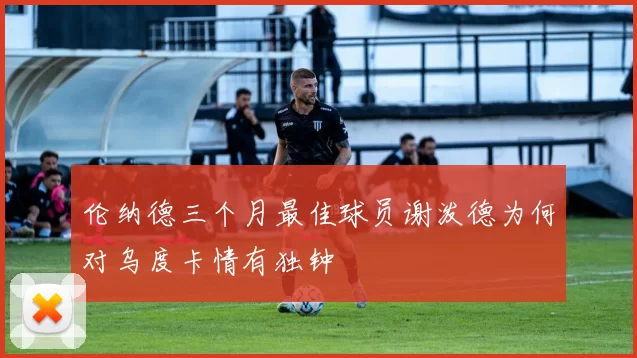 伦纳德三个月最佳球员谢泼德为何对乌度卡情有独钟