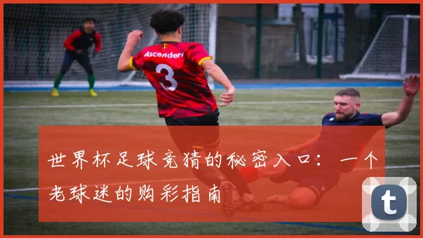 世界杯足球竞猜的秘密入口：一个老球迷的购彩指南