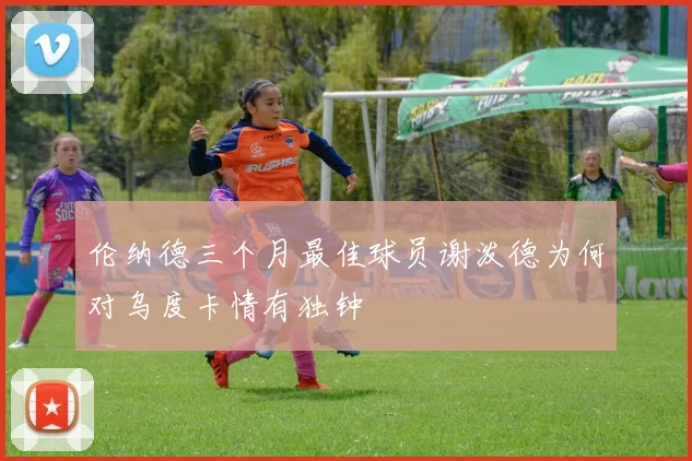伦纳德三个月最佳球员谢泼德为何对乌度卡情有独钟