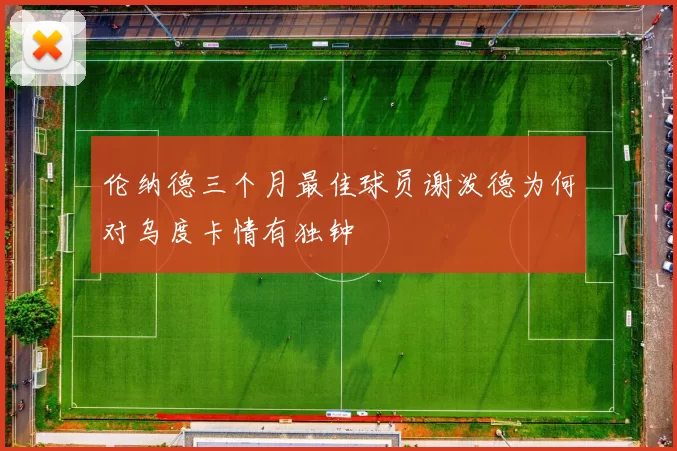 伦纳德三个月最佳球员谢泼德为何对乌度卡情有独钟