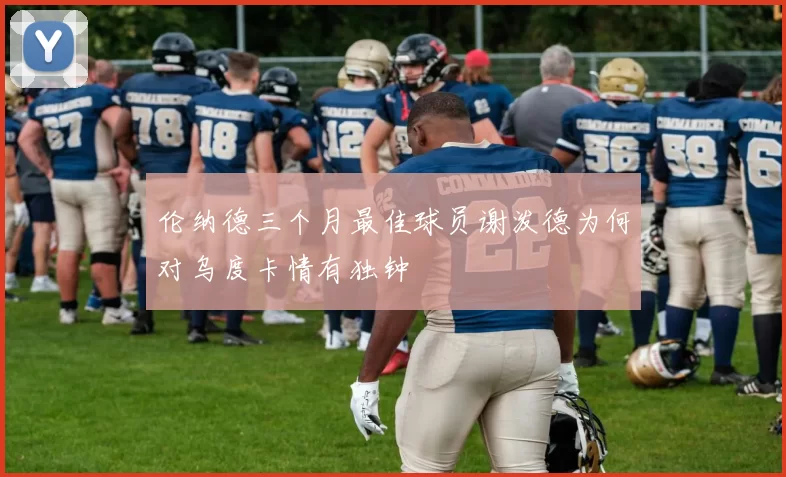 伦纳德三个月最佳球员谢泼德为何对乌度卡情有独钟