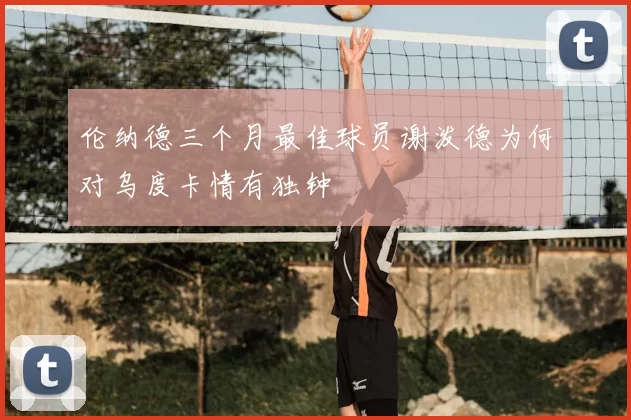 伦纳德三个月最佳球员谢泼德为何对乌度卡情有独钟