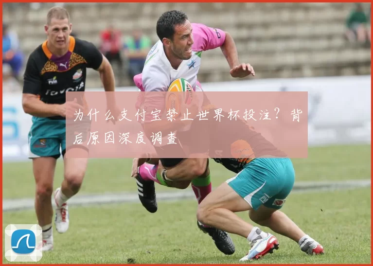 为什么支付宝禁止世界杯投注？背后原因深度调查