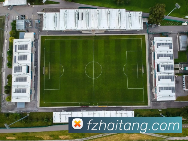 欧冠披萨引关注，话题热度持续发酵